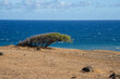 pacific ocean in Maui east coast ,  beach, sea, coast, water, ocean, sand, sky, landscape, summer, nature, rocks, tropical, island