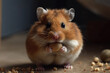 © sommersby - A domestic hamster is seen eating peanuts on the floor of a room