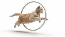 A Fantastic Isometric Cat, Playfully Jumping Through An Imaginary Hoop, 3d Model Isolated White Background
