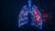 illustration of a Lung with a network of bright blue lines outlining its anatomy, style, educational, science, medicine