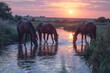 Horses Drinking at River with Reflective Sunset Waters  