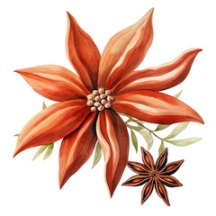 Canvas Print - Anise