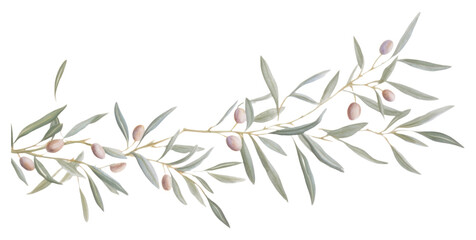Wall Mural - PNG  Olive branch pattern plant leaf