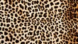 © Oksana - Leopard print animal skin background, hairy pattern