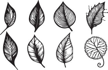 vector, tree, leaf, nature, illustration, art, image, silhouette tree leaf eps SET