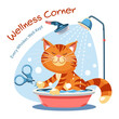 Modern vector concepts for website - cat hygiene and grooming