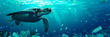 sea turtle swimming through ocean plastic pollution, Protect Marine Life
