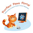 Modern vector illustration concepts for website - cat care interactive guide