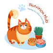 Modern vector illustration concepts for website - cat nutrition guide
