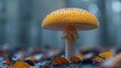 Saffron milk cap mushroom growing in wild nature on full frame texture background