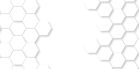 Abstract pattern with hexagonal white and gray technology line paper background. Hexagonal 3d vector grid tile and mosaic structure mess cell. white and gray hexagon honeycomb geometric copy space.