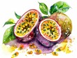 Passion Fruit, Rich in vitamins A and C, supports skin health, superfoods conception, watercolor illustration