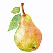 Pear, High in fiber and vitamin C, supports digestive health, superfoods conception, watercolor illustration