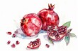 Pomegranate, High in antioxidants, may have anti,inflammatory effects, superfoods conception, watercolor illustration