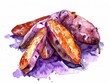 Sweet Potato, Rich in vitamins A and C, good for skin health, superfoods conception, watercolor illustration
