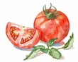 Tomato, Contains lycopene, may reduce the risk of certain cancers, superfoods conception, watercolor illustration