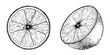 Set of Lemon slice fruits. Sketch Hand drawn vector illustration. Black outline ink of citrus fruit. Isolated on white background. Design for menu, package, cosmetic, textile