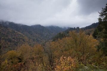 Wall Mural - Smoky Mountains with low clouds