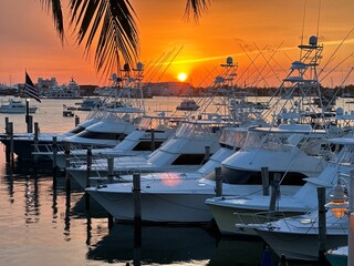 singer island florida sis fish marina palm beach shours florida sail fish marina and docks  