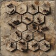 single hexagon tile design