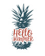 Summer banner with pineapple and lettering in retro, vintage style
