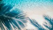© vannet - Top View Of Tropical Leaf Shadow On Water Surface. Shadow Of Palm Leaves On White Sand Beach. Beautiful Abstract Background Concept Banner For Summer Vacation At The Beach