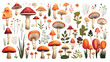 Set of inedible mushrooms with titles on white back