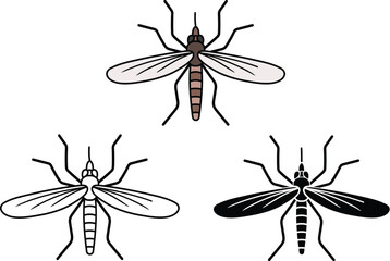 Canvas Print - Mosquito Insect From Top View in 2D Clipart Set - Outline, Silhouette & Color
