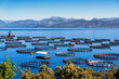 Moderne Fischfarm an der Küste Korfus