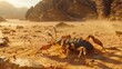Close-up of a scorpion in the desert in high resolution and high quality. concept animals, danger, poison