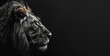 Portrait of lion in black and white on dark background, banner with copy space area