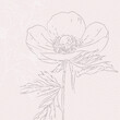 Anemone Flowers Delicate watercolor botanical digital paper
