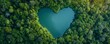 Heart-shaped lake surrounded by dense green forest