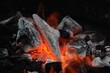 © imageBROKER - Glowing charcoal, fire, Germany, Europe