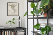  A black metal bookcase is in the corner of an office, adorned with lush green plants and white walls featuring framed maps or photos. The scene exudes minimalism and simplicity.