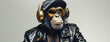 A monkey in a black leather jacket, wearing gold sunglasses and headphones with a cap on its head, on a white background, in the style of hyper realistic