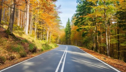 Sticker - scenic road in the autumn daylight forest landscape