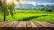 wooden table against rice field blurry background
