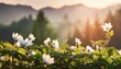 sunny spring background hd wallpaper in the style of soft focus lens dark white and green symbolic nabis flower power serene landscapism award winning generative ai