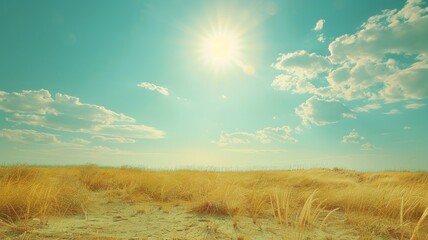 Wall Mural - sunny day over dry grass field with clear blue sky and sun shining brightly