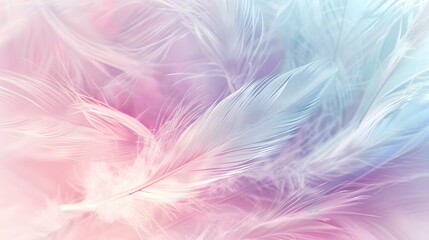 Wall Mural - pastel colour feather abstract background