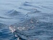 Small wavy ripples on Lake Michigan's blue water with sunlight sparkles dancing on the surface