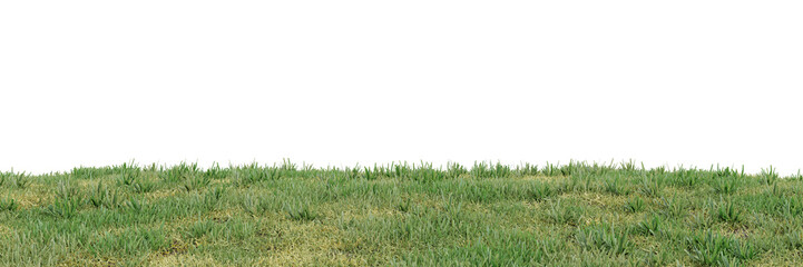 Wall Mural - Green grass on transparent background 3d rendering