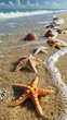 A beach scene with a line of starfish and shells