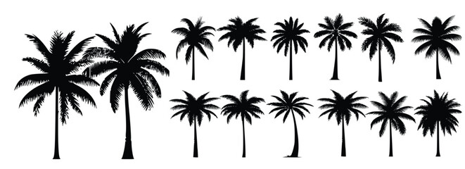 Wall Mural - Tropical palm trees set silhouettes