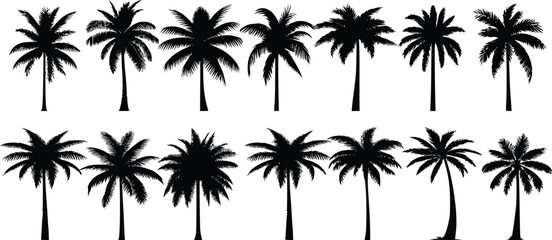 Wall Mural - Coconut palm tree icon, simple style