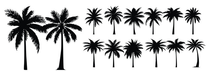 Wall Mural - Black palm trees set isolated on white background. Palm silhouettes. Design of palm trees for posters, banners and promotional items. Vector illustration