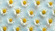 © Montalumirock - Chamomile flower pattern petals blooming wallpaper spring background
