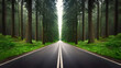 Empty asphalt road in a green forest with trees and grass in the morning