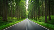 Asphalt road through the green forest with trees and grass in summer